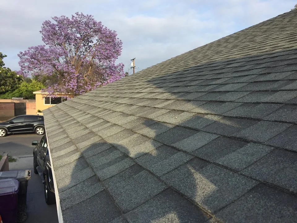 Roof shingle repair and exterior inspection by Advanced Home Repairs LLC